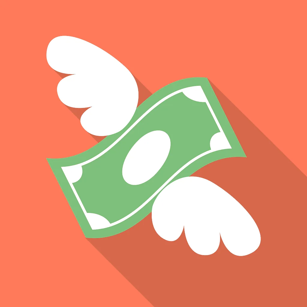 Money Gone?! icon